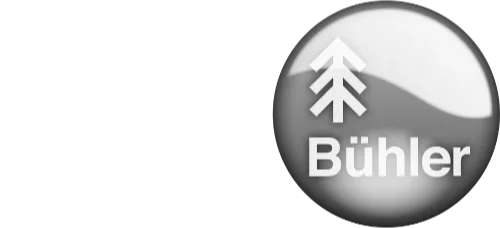 Logo Bühler Motor