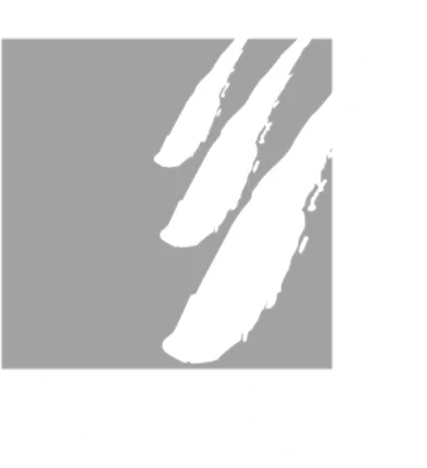 Logo Endress Holzfeuerungsanlagen