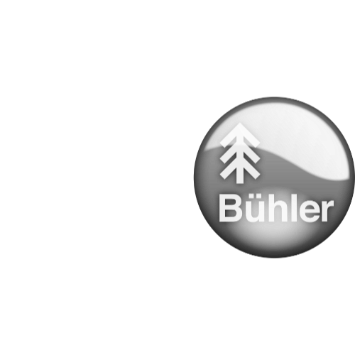 Bühler Motor