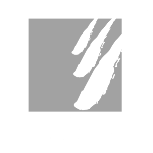 Endress Feuerungen