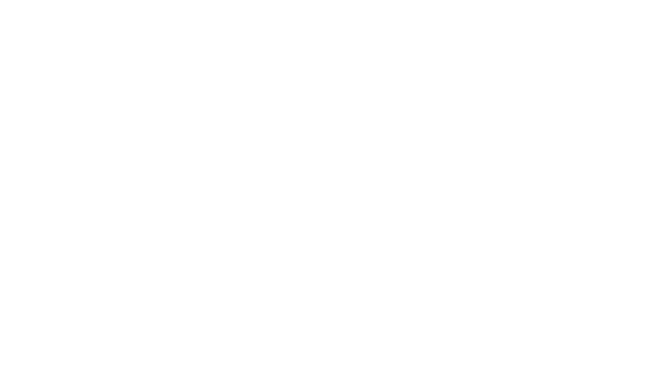 Praxis im Rathaus